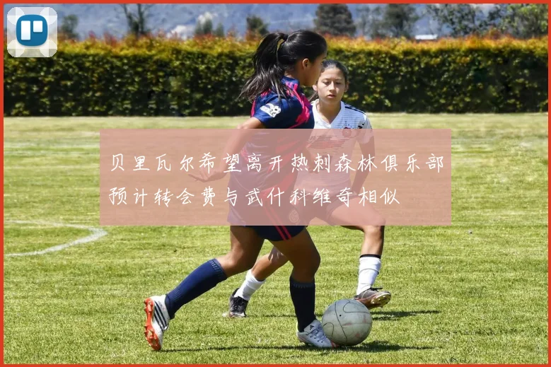 贝里瓦尔希望离开热刺森林俱乐部预计转会费与武什科维奇相似